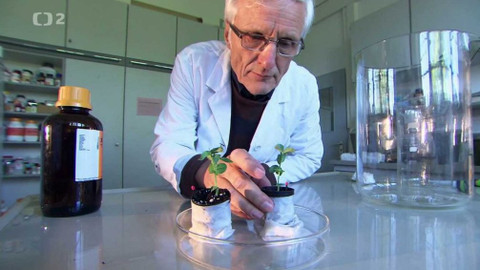 Dobrodružství vědy a techniky - Rostliny - dokážou myslet a vnímat?