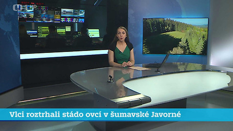 Události v regionech (jih a západ) - 6. října