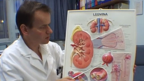 Alchymie bytí - Jak se neotrávit vlastní krví