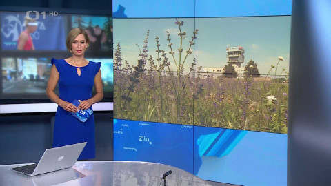 Události v regionech (Ostrava) - 22. července 2024