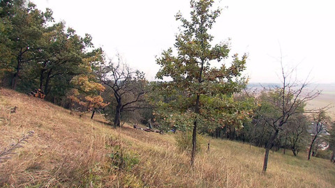 Nedej se! - Pestré Polabí