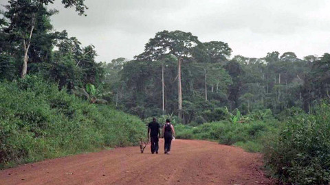 Nedej se! - Cama v Africe