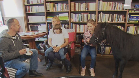 Chcete mě? - 1. listopadu 2020