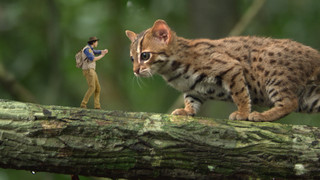 Andy a cesta kolem světa