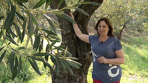 Postřehy odjinud - Řecko očima Marthy Elefteriadu