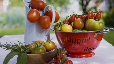 Polopatě - 9. května 2021