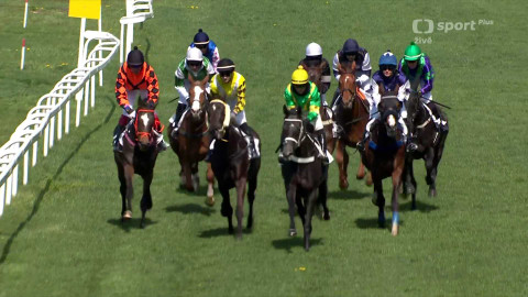 Dostihy - Jarní cena Pardubického závodiště