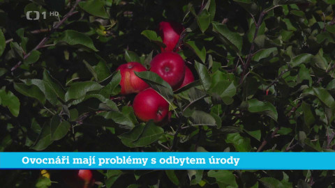 Události v regionech (jih a západ) - 21. října