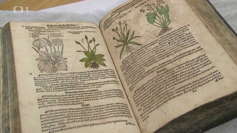 Z metropole - 2. prosince 2017