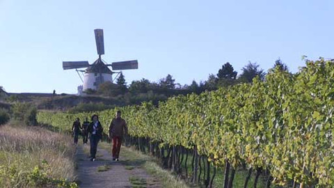 Objektiv - 10. listopadu 2013