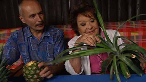 Hobby naší doby - Hoby naší doby