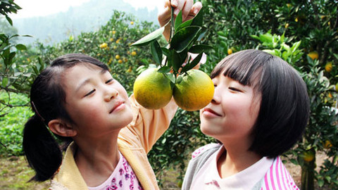 Příběhy EBU - Až dozrají pomeranče