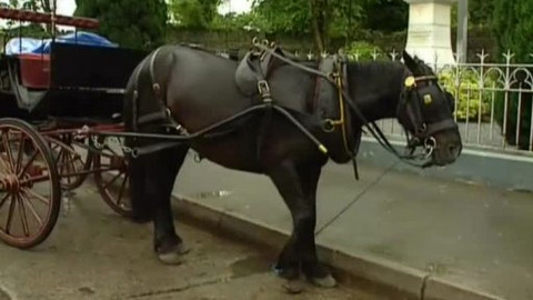Postřehy odjinud - Irsko očima Petra Voldána