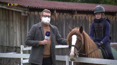 Zprávičky - 6. listopadu 2020