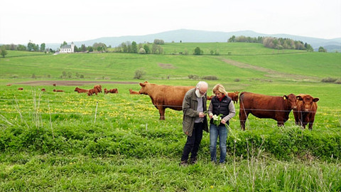 Kouzelné bylinky - Šumavské bylinky