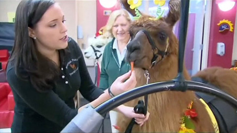 Zprávičky - 12. dubna 2013