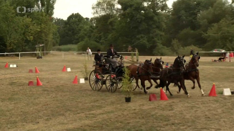 Jezdectví - Mezinárodní závody spřežení CAI Nebanice