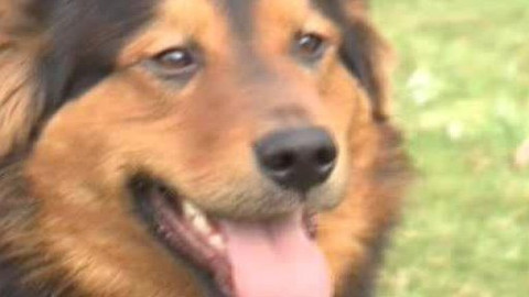 Chcete mě? - Chcete je?