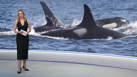 Horizont ČT24 - 12. prosince