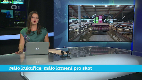 Události v regionech (jih a západ) - 19. srpna