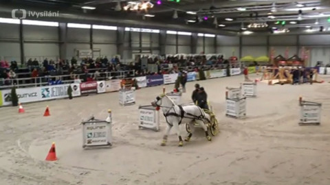 Jezdectví - Jezdecký festival v Lysé nad Labem