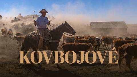 Kovbojové