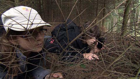 Záhady Toma Wizarda - Zvířátka a Petrovští - pohádka nebo skutečnost?