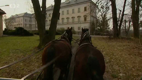 Přidej se - Nové Zámky