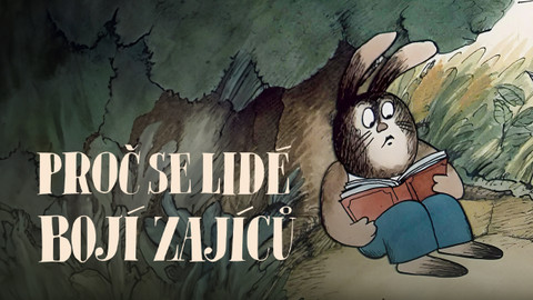 Proč se lidé bojí zajíců