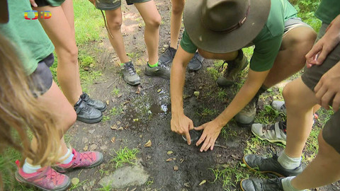 Zprávičky - 24. července 2024