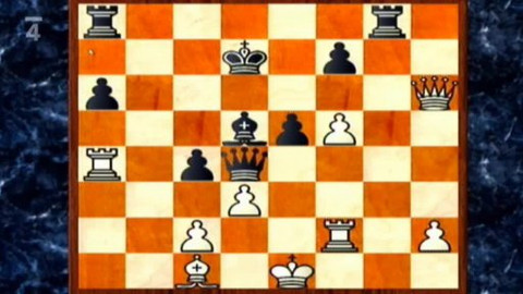 V šachu - 22. ledna 2010