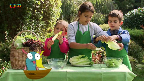 Draci v hrnci - Že je salát zdravý, ví i draci tvrdohlaví