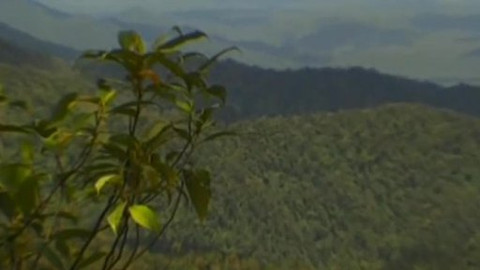 Zeměpis světa - Tropický deštný prales