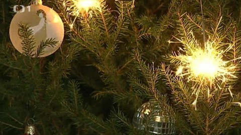 Toulavá kamera - 21. prosince 2014