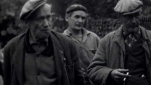 Příloha Televizních novin - Ohlasy na ÚV JZD Hrusice