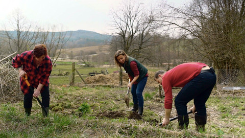 Co naše babičky uměly a na co my jsme zapomněli - Zahrádka