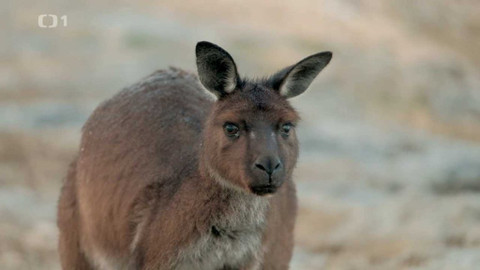 Objektiv - 3. října 2021