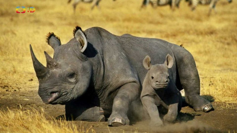 Zprávičky - 3. března 2021