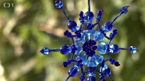 Toulavá kamera - 11. prosince 2016