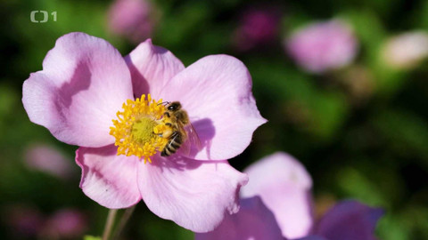 Polopatě - 2. června 2024