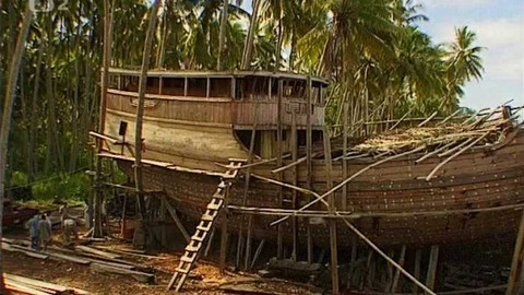 Zeměpis světa - Od pralesa k velkoměstu