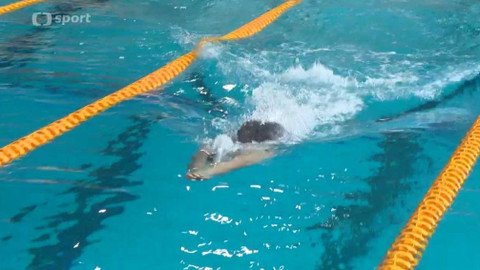 Sport v regionech - M ČR družstev v plavání s ploutvemi, Olomouc