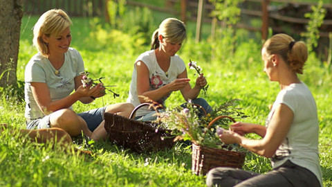 Kouzelné bylinky - Devatero kvítí