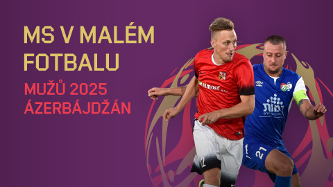 MS v malém fotbalu mužů 2025 Ázerbájdžán