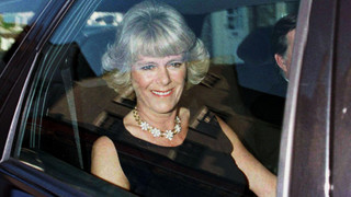 Windsorové pod drobnohledem