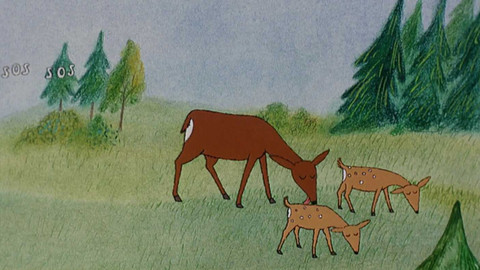 Já, Baryk - 10/12 Já Baryk a můj srnec