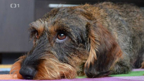 Polopatě - 20. září 2020