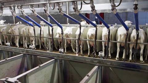 Nedej se! - Farmagedon