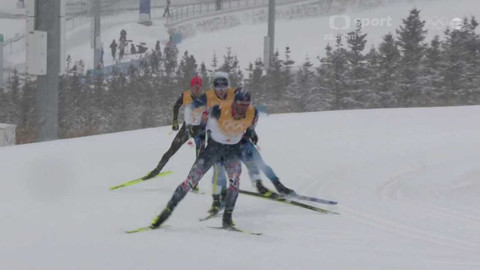 XXIV. zimní olympijské hry 2022 Peking - Běh na lyžích