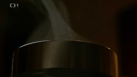 Černé ovce - 8. prosince 2020